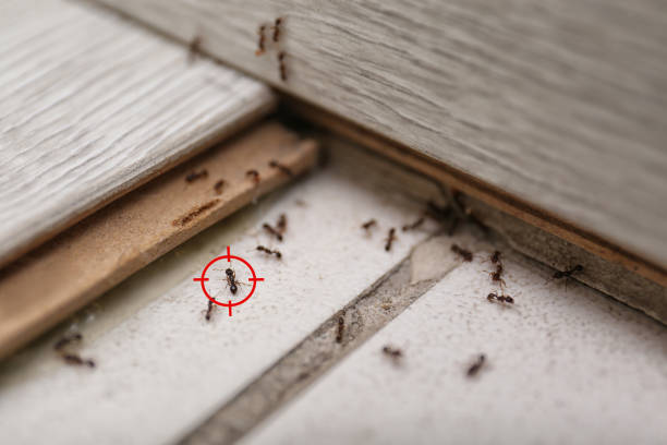 Best Wildlife Control Services  in Clinton, OK