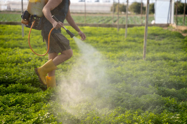 Best Pest Inspection Near Me  in Clinton, OK